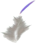01415.webp