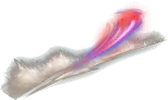 01422.webp