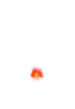 00000.webp