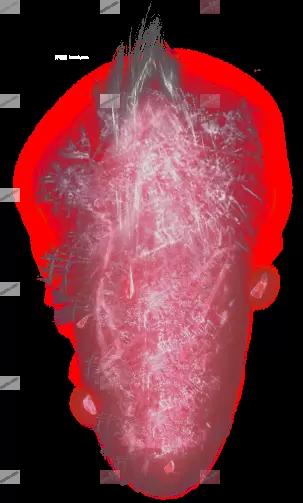 00049.webp