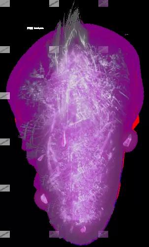 00049.webp