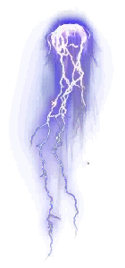 00006.webp