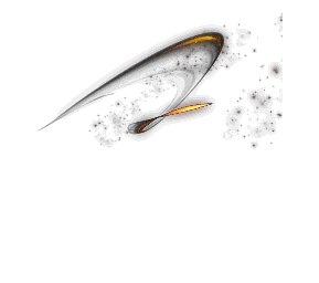 51481.webp