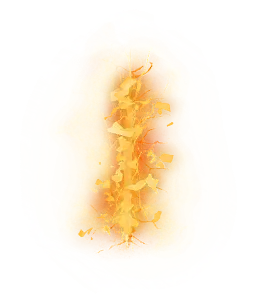 00035.webp