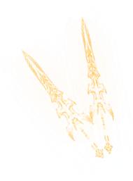 00061.webp