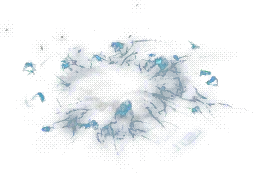 00005.webp