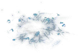 00013.webp