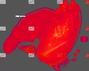 00186.webp