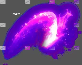 00181.webp
