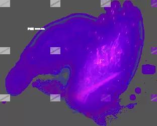00186.webp