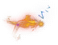 00008.webp