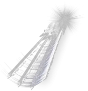 00002.webp