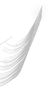 00003.webp