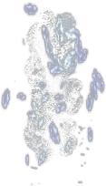 00007.webp