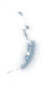 00007.webp