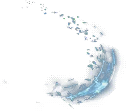 00014.webp