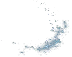 00016.webp