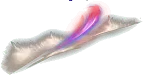 01421.webp