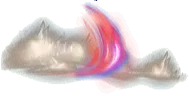 01431.webp