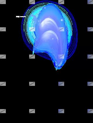 00006.webp