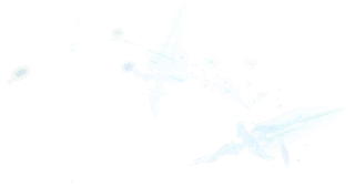 04455.webp