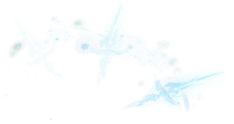 04454.webp