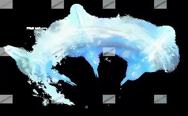 04495.webp