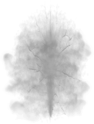 00007.webp