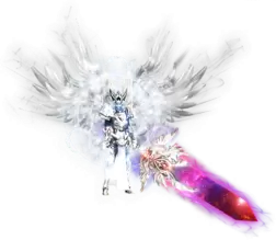 04453.webp