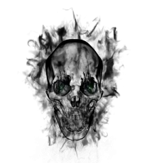 12259.webp