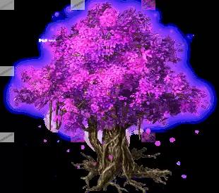 01948.webp