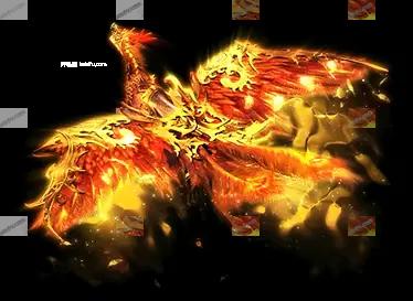 00743.webp