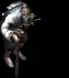 02243.webp