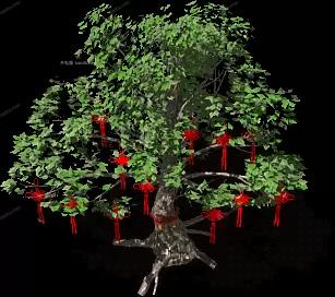 03874.webp