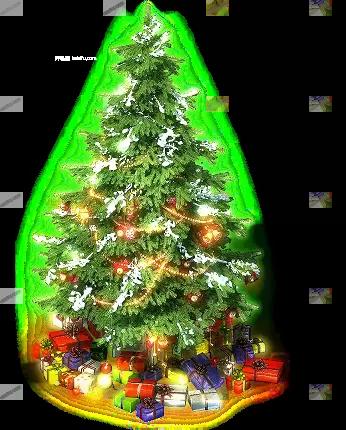 00255.webp