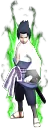 00316.webp