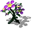 00345.webp