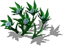 00335.webp