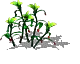 00360.webp