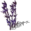 00402.webp