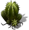 00270.webp