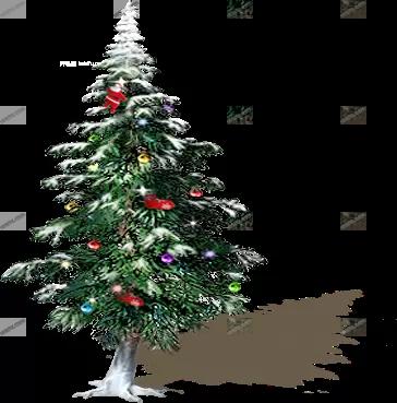 04789.webp