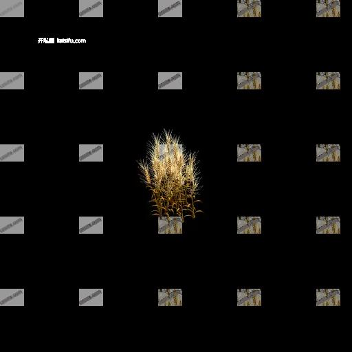 00347.webp