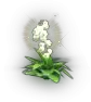 01147.webp