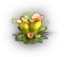 01136.webp