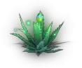01193.webp
