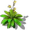 01030.webp