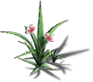 01012.webp