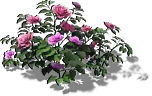 01020.webp