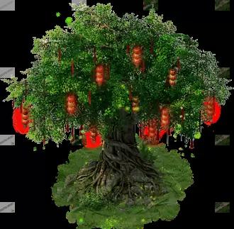 01179.webp